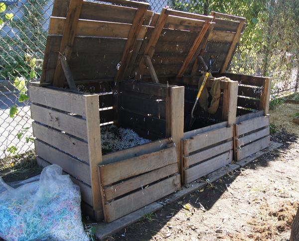 Multi-compartment, enclosed compost bins in a childcare center.